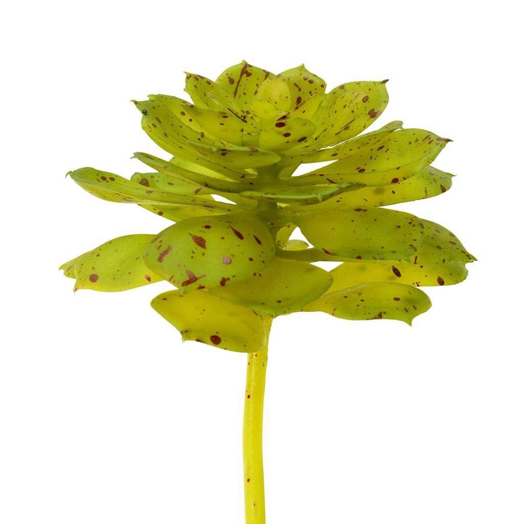 6" Artificial Green / Brown Spotted Echeveria Pick (3 pack) 1