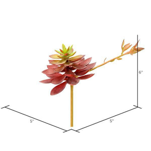 6" Artificial Black Prince Echeveria Pick (3 pack) 2