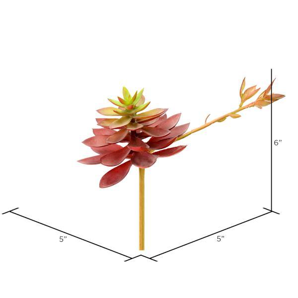 6" Artificial Black Prince Echeveria Pick (3 pack) 2