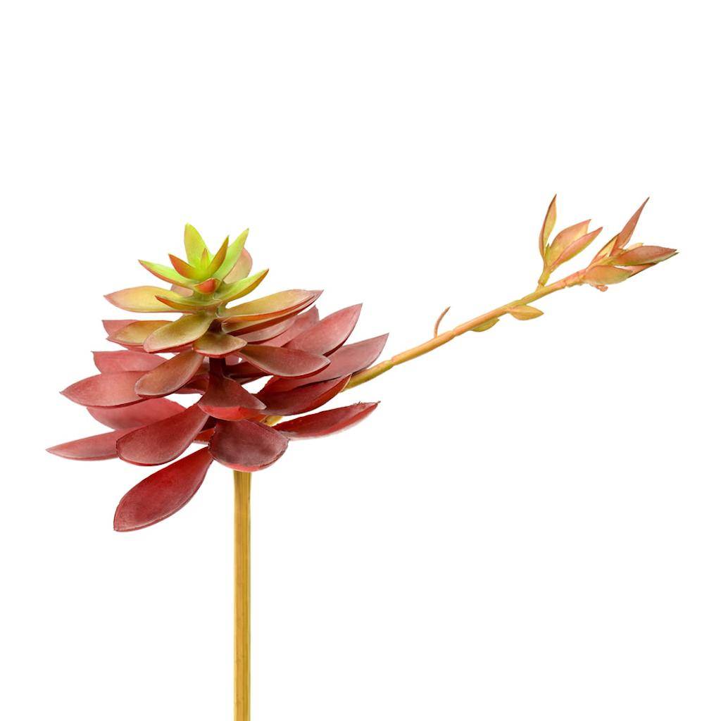 6" Artificial Black Prince Echeveria Pick (3 pack) 1