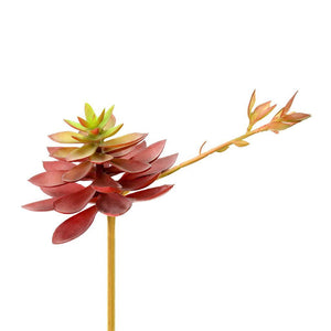6" Artificial Black Prince Echeveria Pick (3 pack) 1