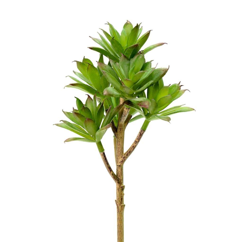 8" Artificial Green Springtime Pick (3 pack) 1