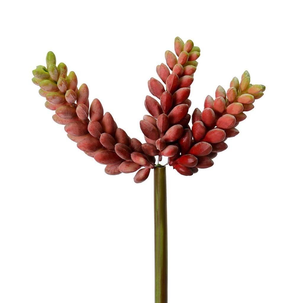 6" Artificial Red Jelly Bean Pick (4 pack) 1