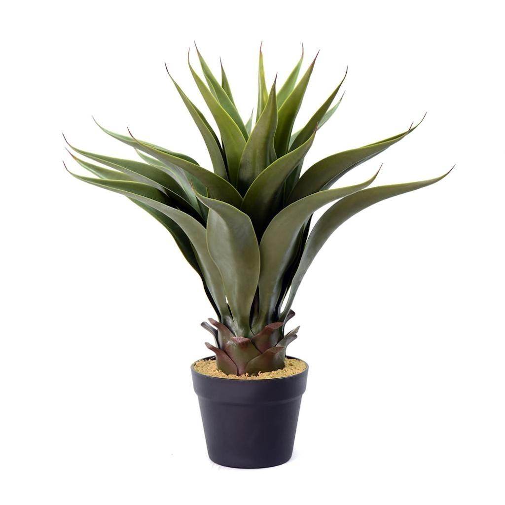 22" Artificial Green Potted Aloe Vera in Black Pot 1