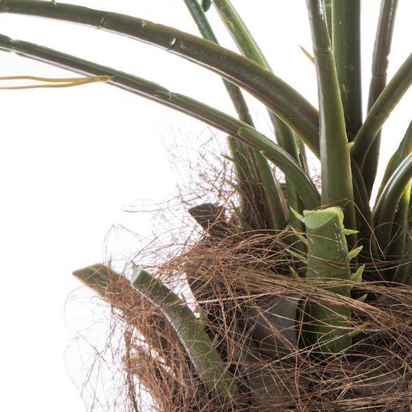 6' Artificial Phoenix Palm Tree 4
