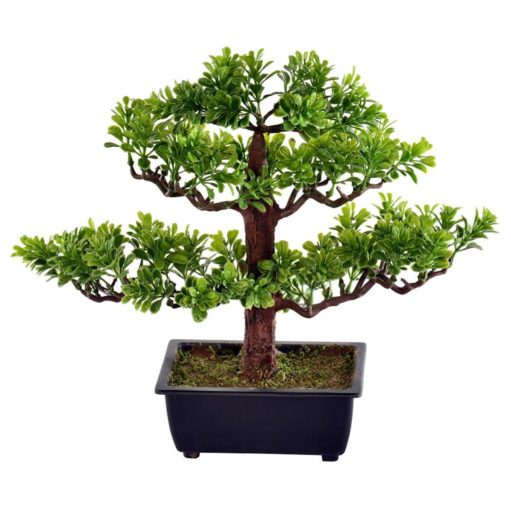 10" Potted Artificial Murraya Bonsai Tree 1