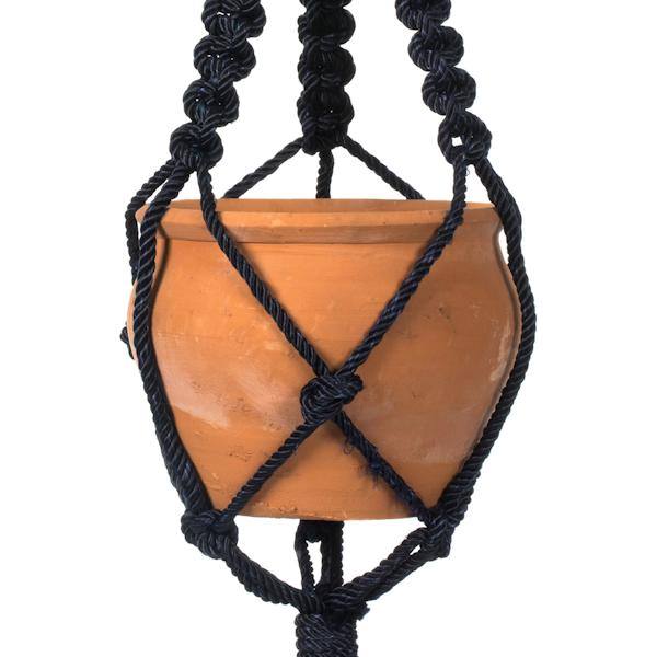 4.5" Terracotta Pot in Black Rope Hanger 2