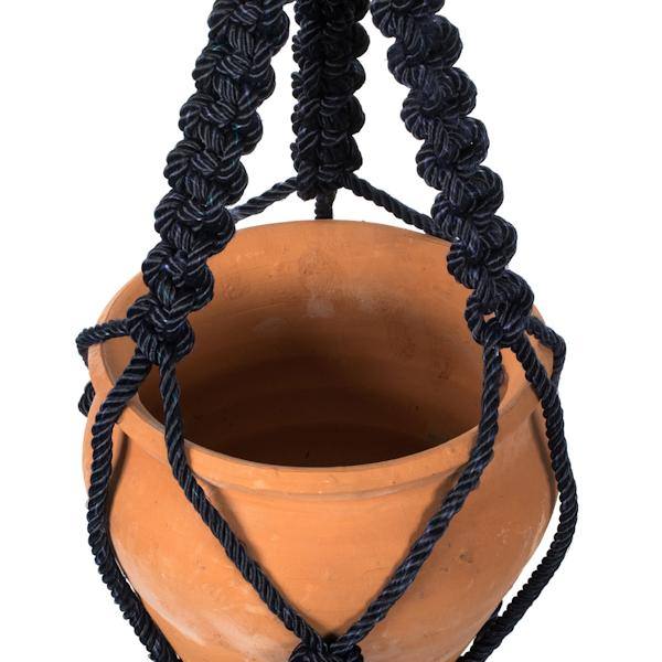 4.5" Terracotta Pot in Black Rope Hanger 3