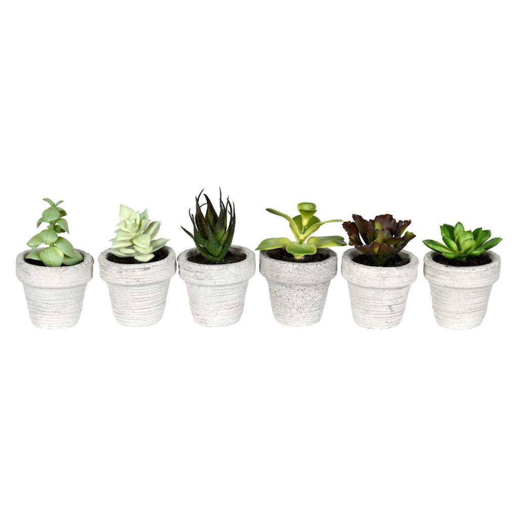 4" Artificial Green Potted Succulent (Set of 6) 1