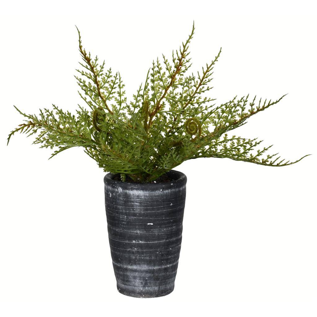 8.5" Artificial Green Potted Asparagus Fern 1