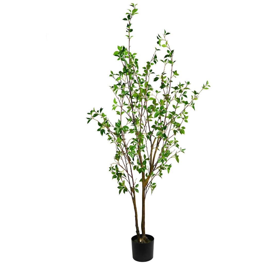 6' Artificial Potted Baby Leaf Tree 1