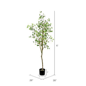 6' Artificial Potted Milan Leaf Tree 2