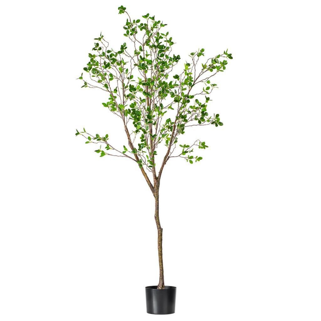 6' Artificial Potted Milan Leaf Tree 1