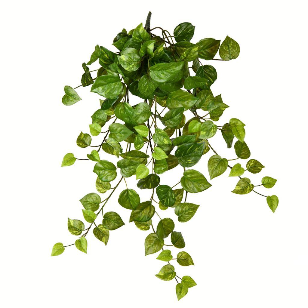 28" Artificial Green Pothos Leaf Hanging Bush 1