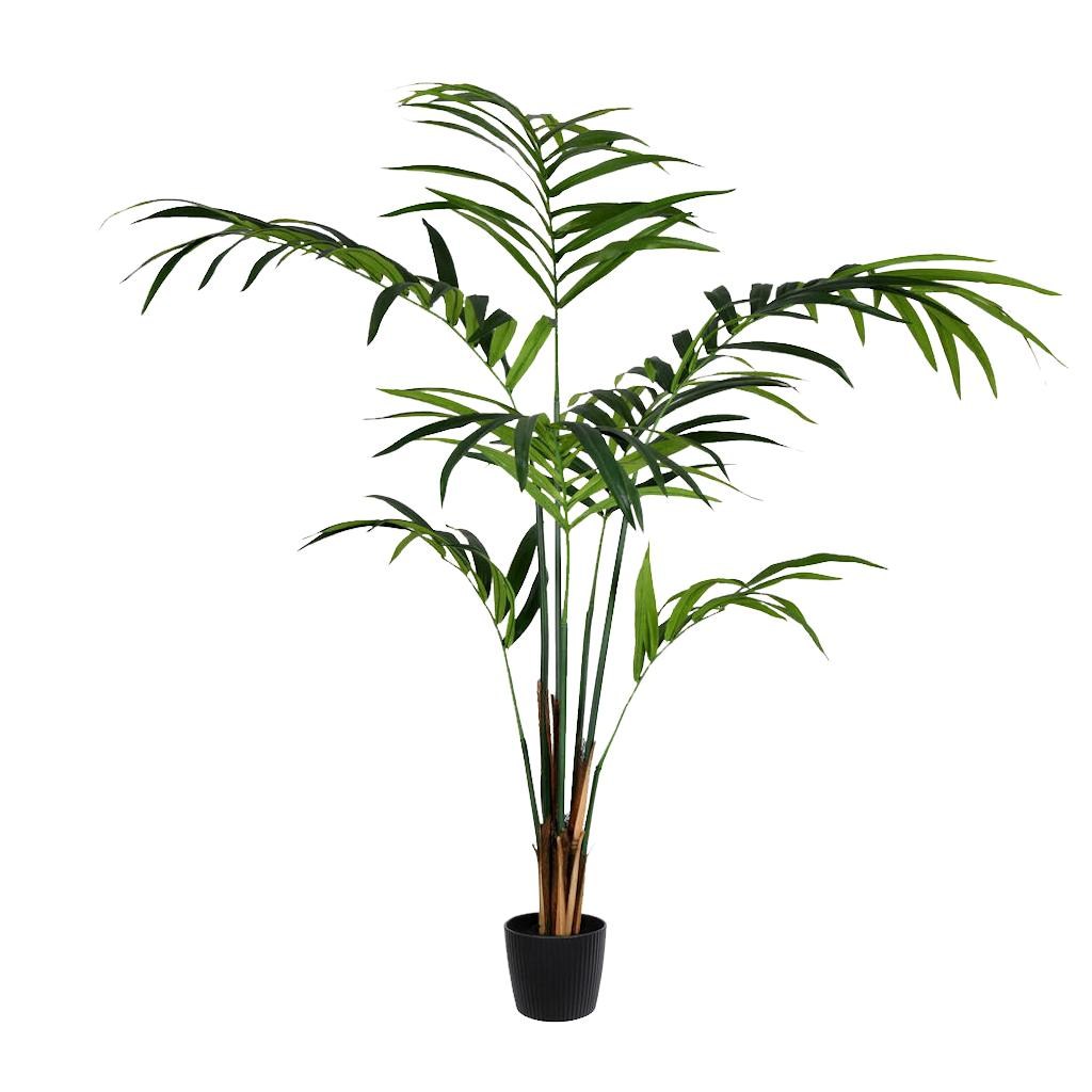 6' Potted Artificial Kentia Palm Tree 1