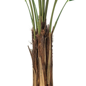 6' Potted Artificial Areca Palm Tree 5