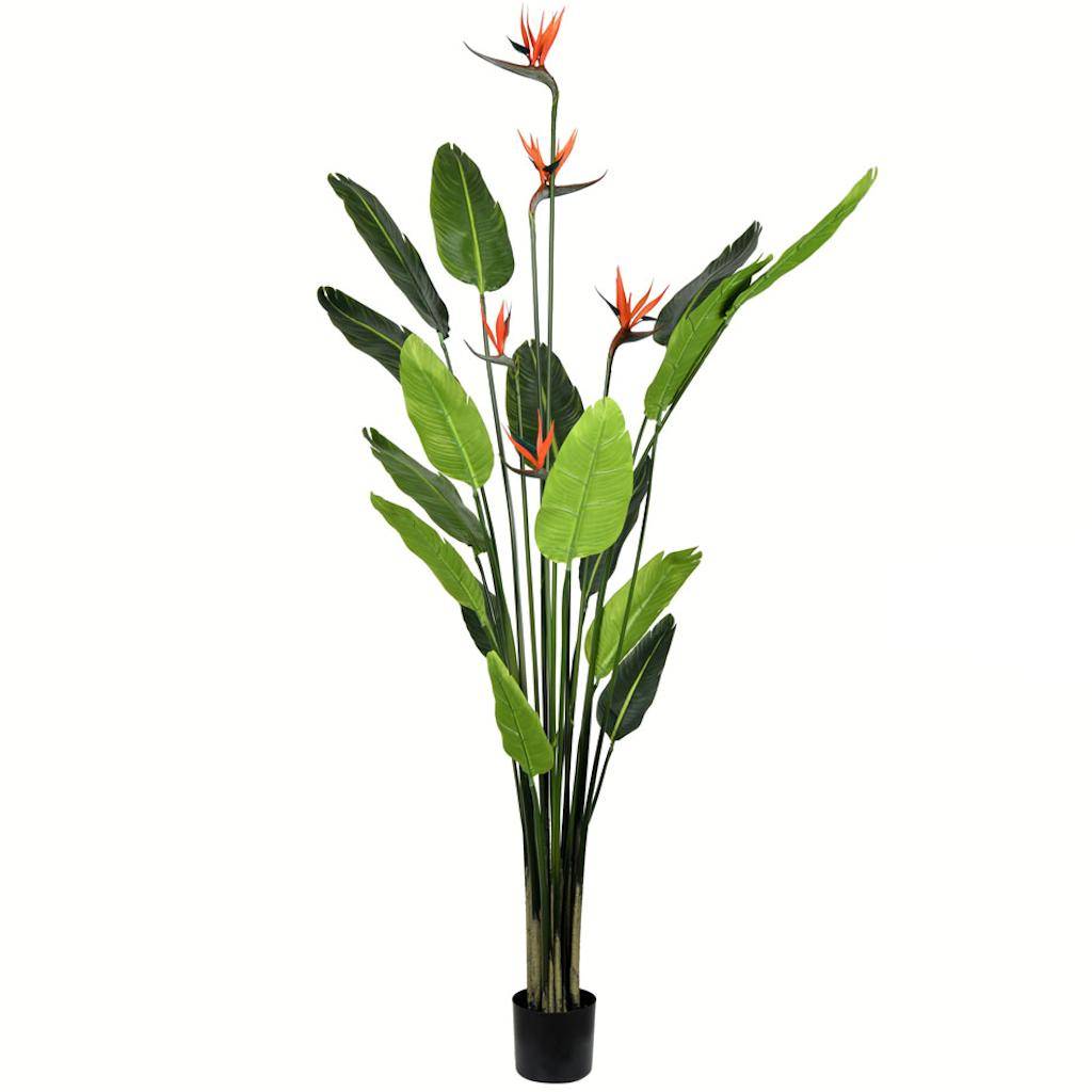 6' Potted Artificial Bird of Paradise Palm Tree 1