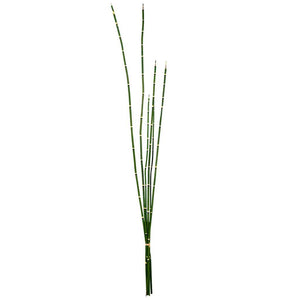 31" Artificial Green Horsetail Bundle (2 pack) 1