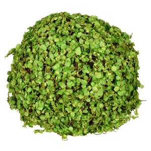 8" Artificial Green Mini Leaves Ball 1