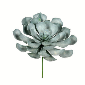 9.5" Artificial Peperomia Succulent Assortment (3 pack) 2