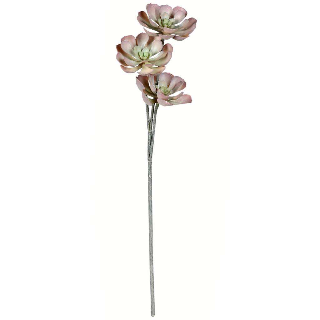 34" Artificial Brown Peperomia Succulent 1