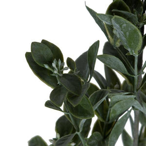 20" Artificial Green / White Aglaia Spray (6 pack) 2