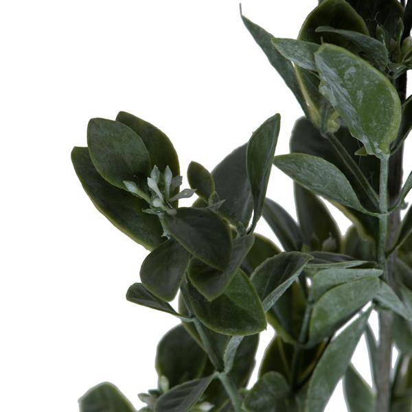 20" Artificial Green / White Aglaia Spray (6 pack) 2