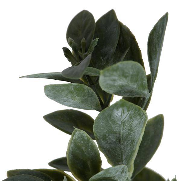 20" Artificial Green / White Aglaia Spray (6 pack) 3