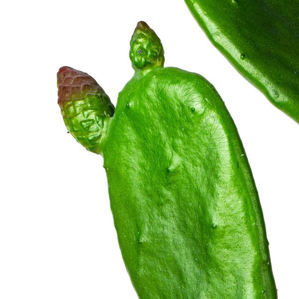 34" Artificial Green Potted Cactus 3