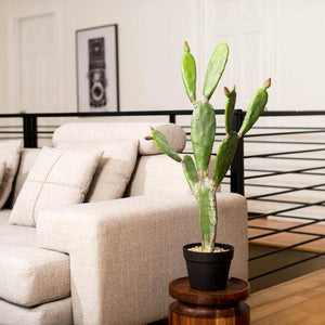 34" Artificial Green Potted Cactus 5