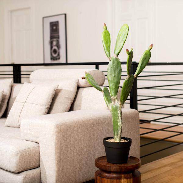 34" Artificial Green Potted Cactus 5