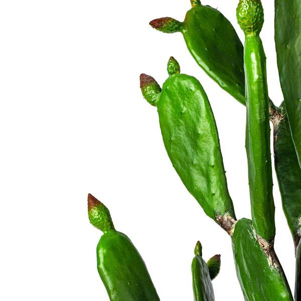 57" Artificial Green Potted Cactus 3