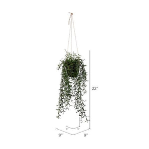 22" Artificial Green Grass Plant in Hanger Pot 2