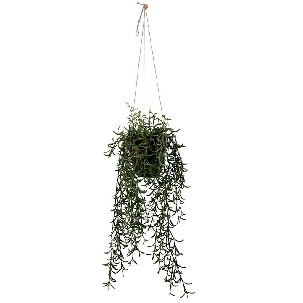 22" Artificial Green Grass Plant in Hanger Pot 1