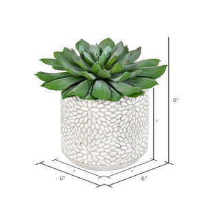6" Artificial Green Potted Succulent (2 pack) 2