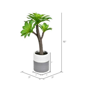 15" Artificial Green Potted Succulent 2