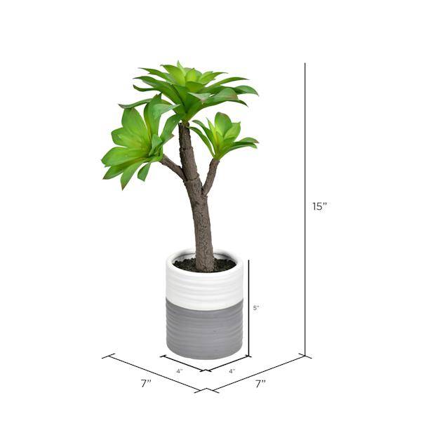 15" Artificial Green Potted Succulent 2