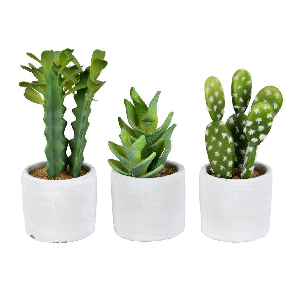 7" Artificial Green Potted Cactus Assortment (Set of 3) 1