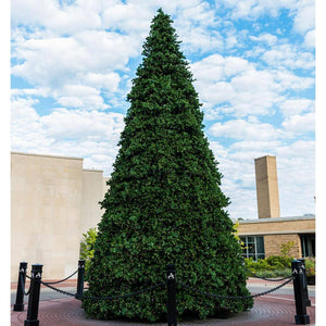 36' x 218" Artificial Grand Teton Frame Tree 26550 Warm White Lights 1