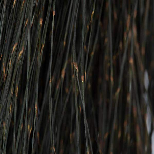 15"-20" 5oz Natural Dried Bell Grass Bundle 2