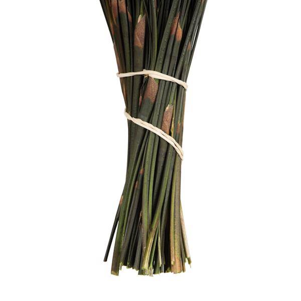 15"-20" 5oz Natural Dried Bell Grass Bundle 4
