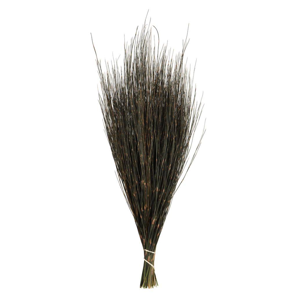 15"-20" 5oz Natural Dried Bell Grass Bundle 1