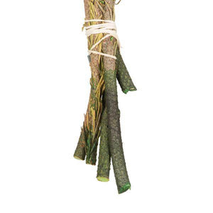 12"-16" 4oz Natural Green Preserved Brunia Bundle 5