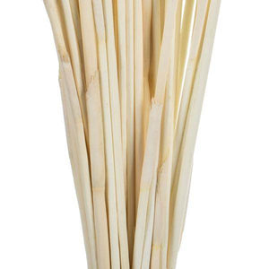40"-42" 10oz Bleached Preserved Elephant Reed Bundle 4