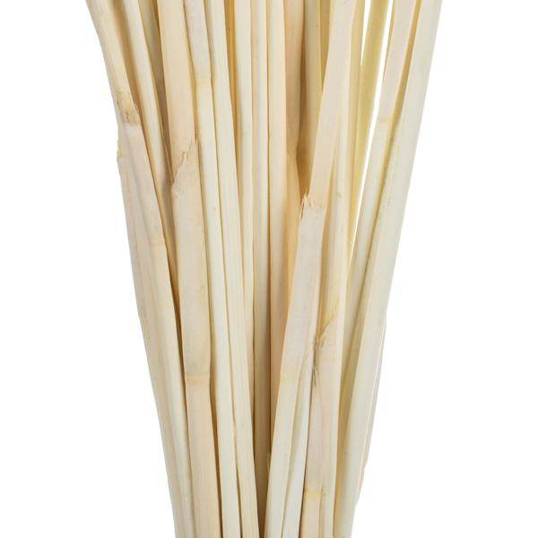 40"-42" 10oz Bleached Preserved Elephant Reed Bundle 4