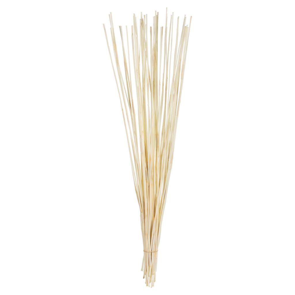 40"-42" 10oz Bleached Preserved Elephant Reed Bundle 1