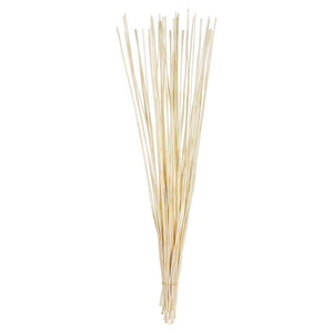 40"-42" 10oz Bleached Preserved Elephant Reed Bundle 1