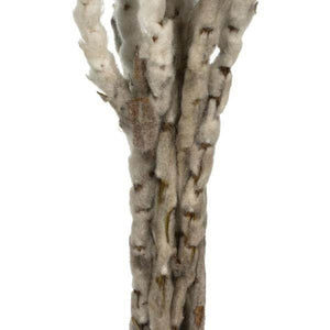 13"-14" 23 Blooms Natural White Preserved Flowers 3