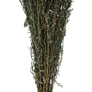 22"-26" 5-6oz Preserved Natural White Grabia 4