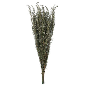 22"-26" 5-6oz Preserved Natural White Grabia 1